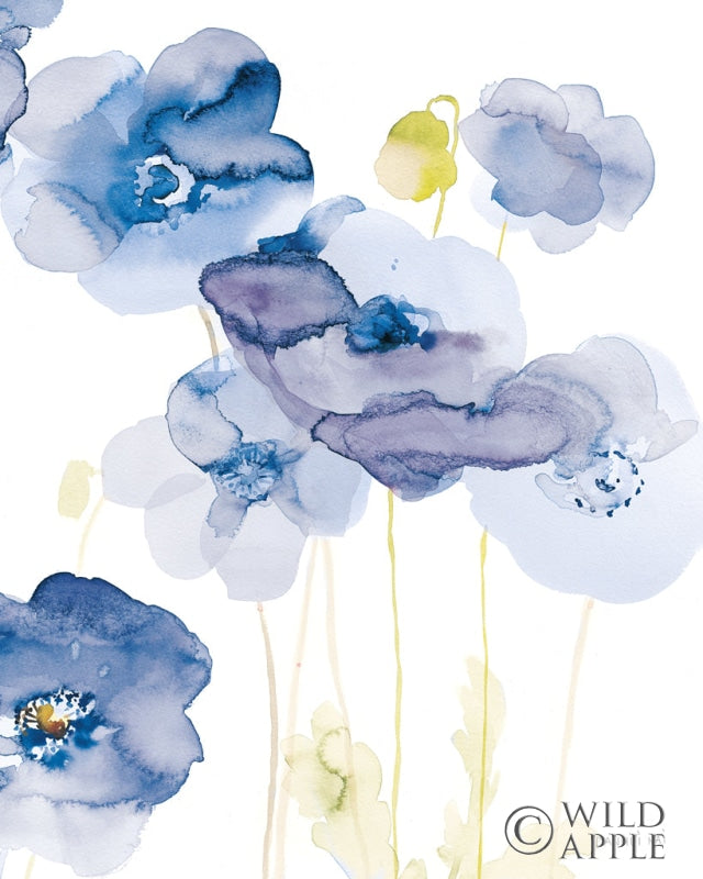 Reproduction of Delicate Poppies II Blue by Danhui Nai - Wall Decor Art