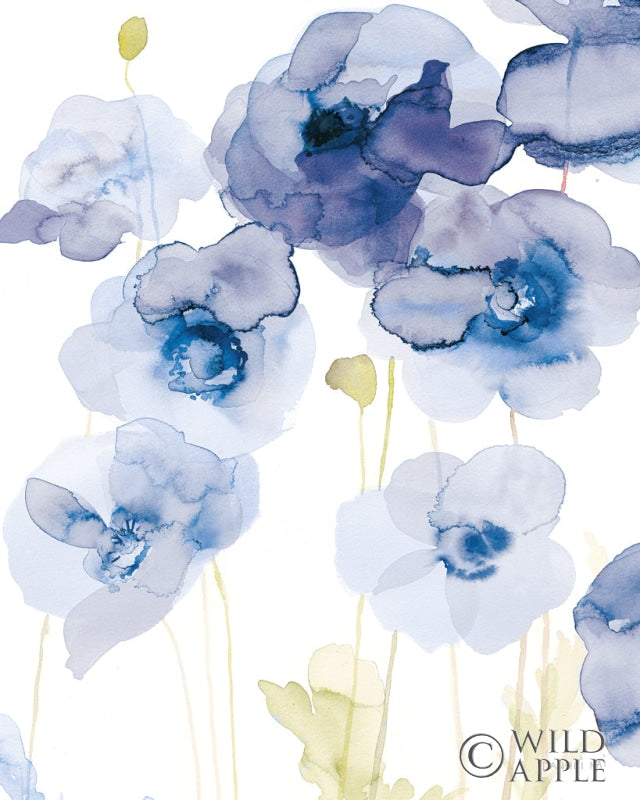 Reproduction of Delicate Poppies III Blue by Danhui Nai - Wall Decor Art