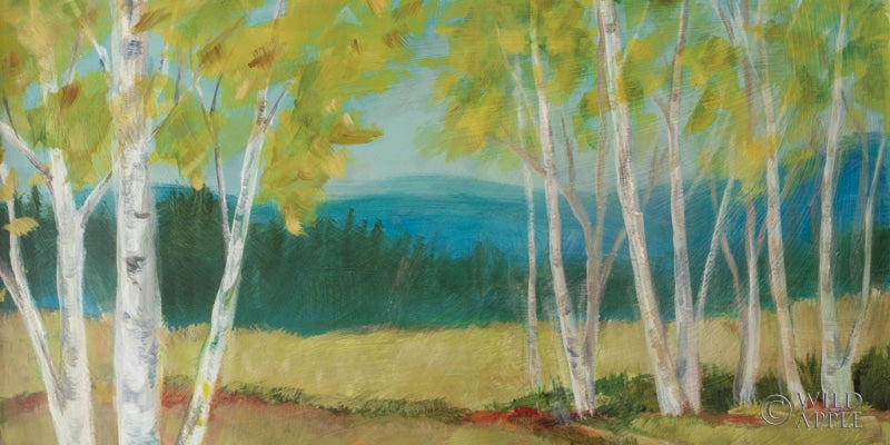 Reproduction of Birch Road Crop by Sue Schlabach - Wall Decor Art