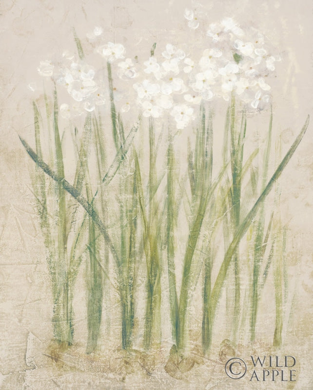 Reproduction of Narcissus Light by Cheri Blum - Wall Decor Art
