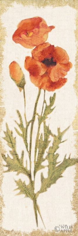 Reproduction of Poppy Panel Light by Cheri Blum - Wall Decor Art