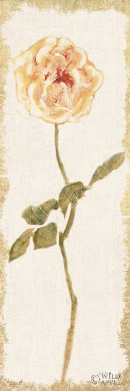 Reproduction of Pale Rose Panel Light by Cheri Blum - Wall Decor Art