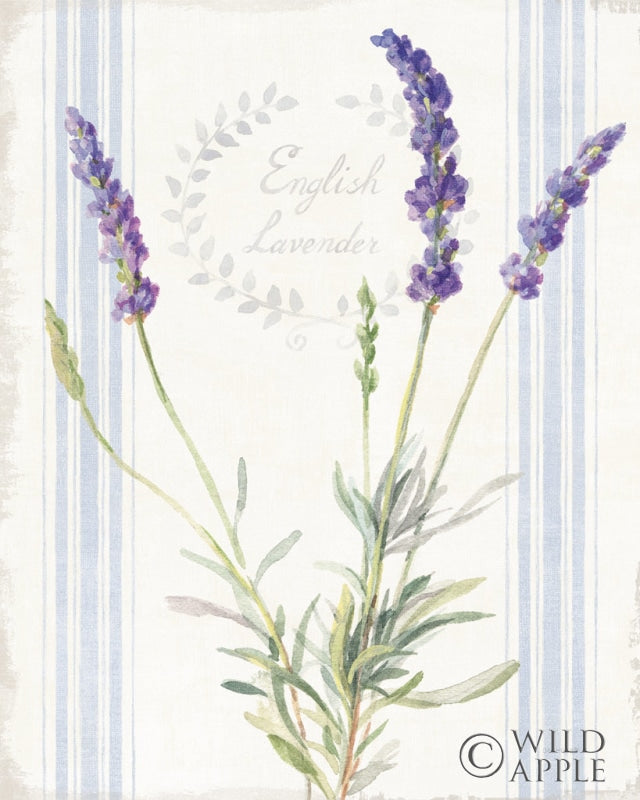 Reproduction of Floursack Lavender IV by Danhui Nai - Wall Decor Art