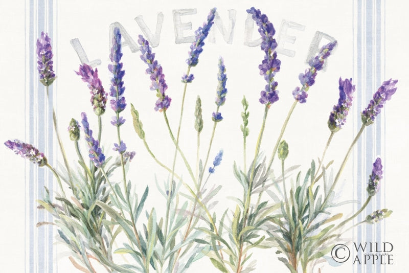 Reproduction of Floursack Lavender V by Danhui Nai - Wall Decor Art