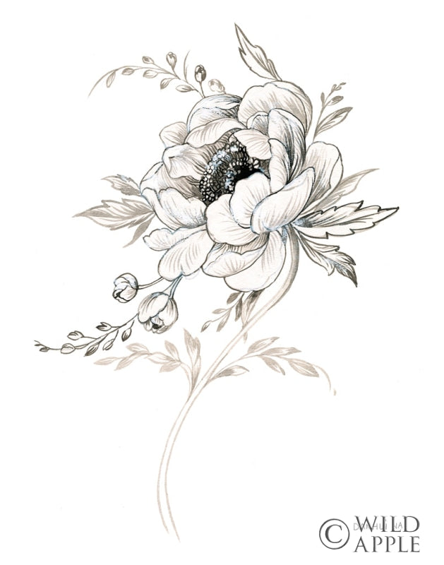 Reproduction of Sketchbook Garden VIII BW by Danhui Nai - Wall Decor Art