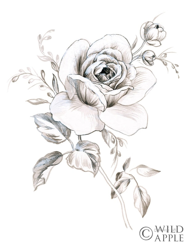 Reproduction of Sketchbook Garden IX BW by Danhui Nai - Wall Decor Art