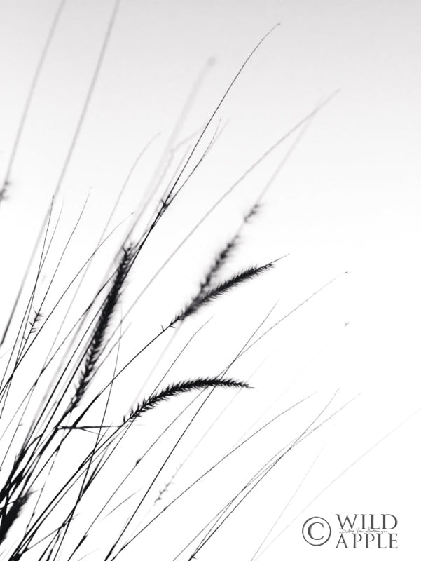 Reproduction of Field Grasses I White by Debra Van Swearingen - Wall Decor Art