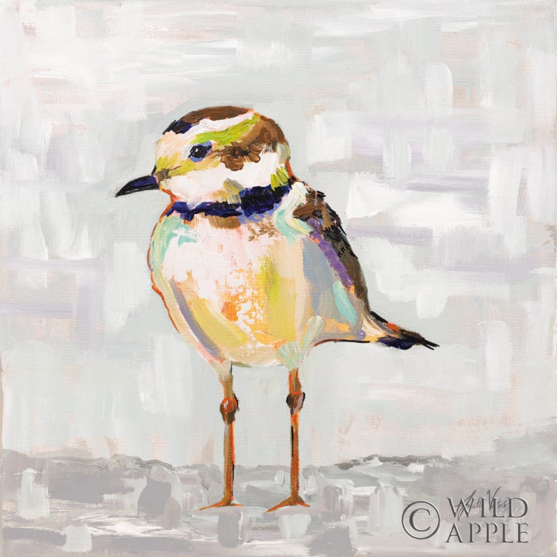 Reproduction of Coastal Plover II Gray by Jeanette Vertentes - Wall Decor Art