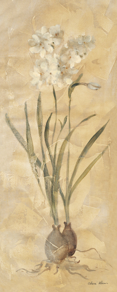 Reproduction of White Narcissus Panel by Cheri Blum - Wall Decor Art