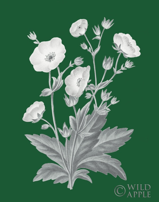 Reproduction of Green Botanical VI by Wild Apple Portfolio - Wall Decor Art