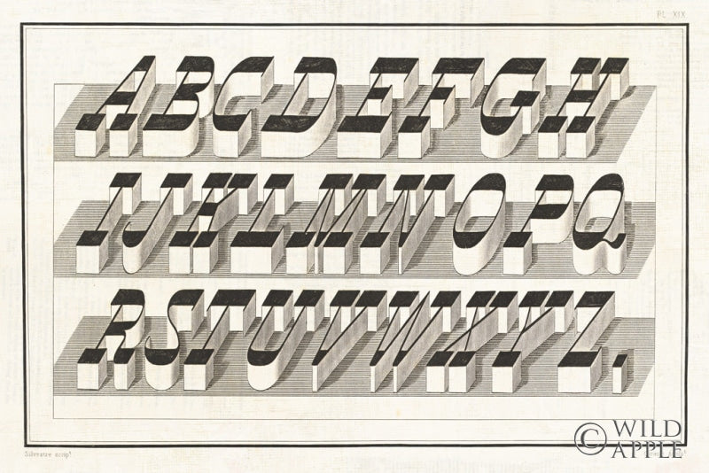 Reproduction of Bold Alphabet by Wild Apple Portfolio - Wall Decor Art