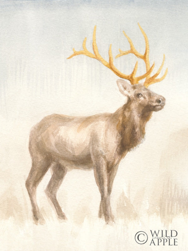 Reproduction of Regal Wild I by Danhui Nai - Wall Decor Art