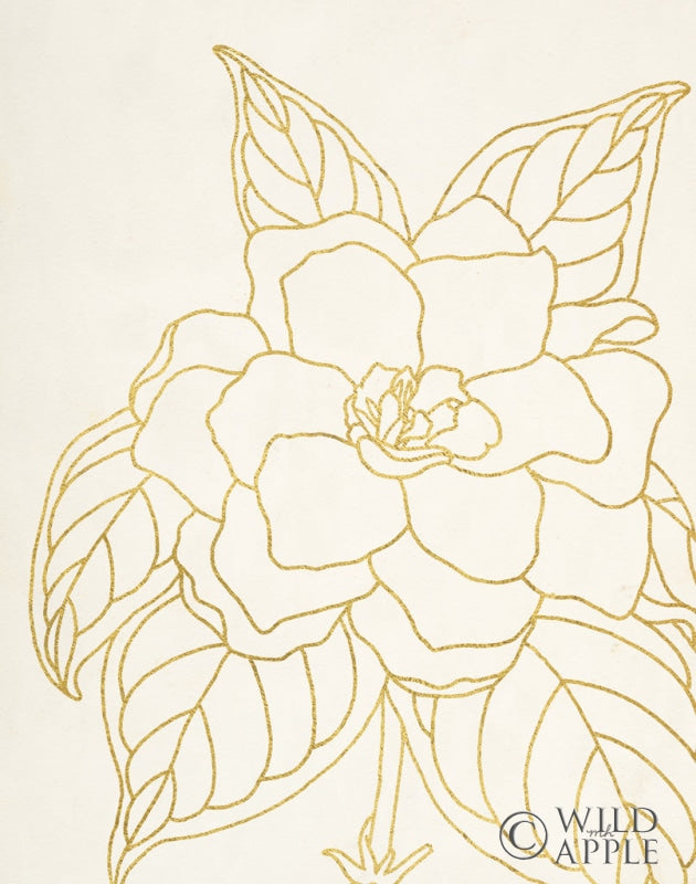 Reproduction of Gold Gardenia Line Drawing Crop by Moira Hershey - Wall Decor Art