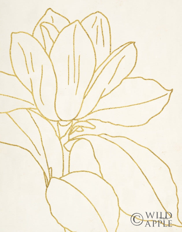 Reproduction of Gold Magnolia Line Drawing v2 Crop by Moira Hershey - Wall Decor Art