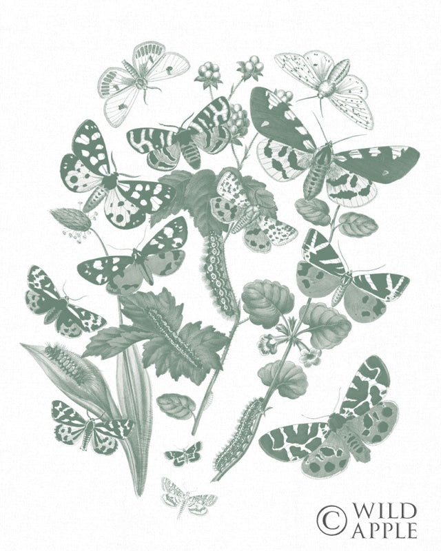 Reproduction of Butterfly Bouquet IV Sage by Wild Apple Portfolio - Wall Decor Art