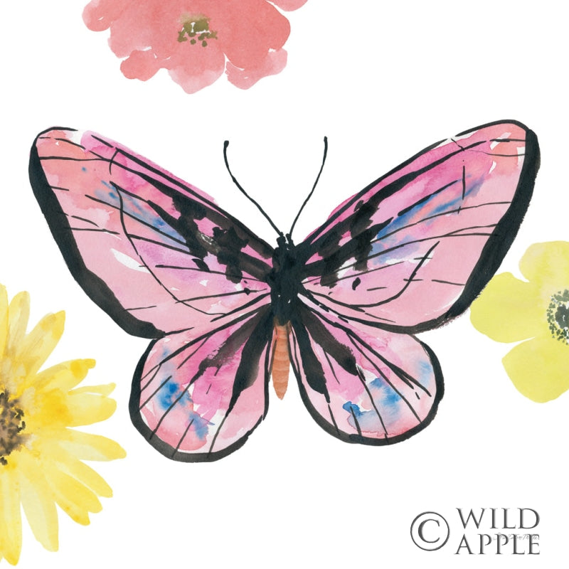 Reproduction of Beautiful Butterfly I Pink by Sara Zieve Miller - Wall Decor Art