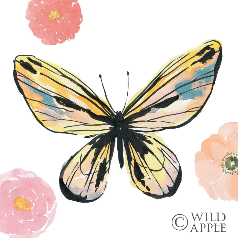 Reproduction of Beautiful Butterfly II Teal No Words by Sara Zieve Miller - Wall Decor Art