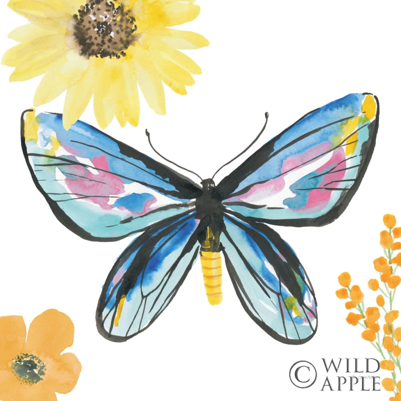 Reproduction of Beautiful Butterfly III Blue No Words by Sara Zieve Miller - Wall Decor Art