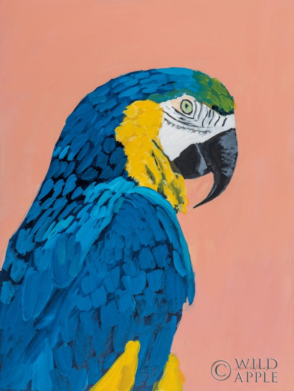 Reproduction of Blue and Gold Macaw by Pamela Munger - Wall Decor Art