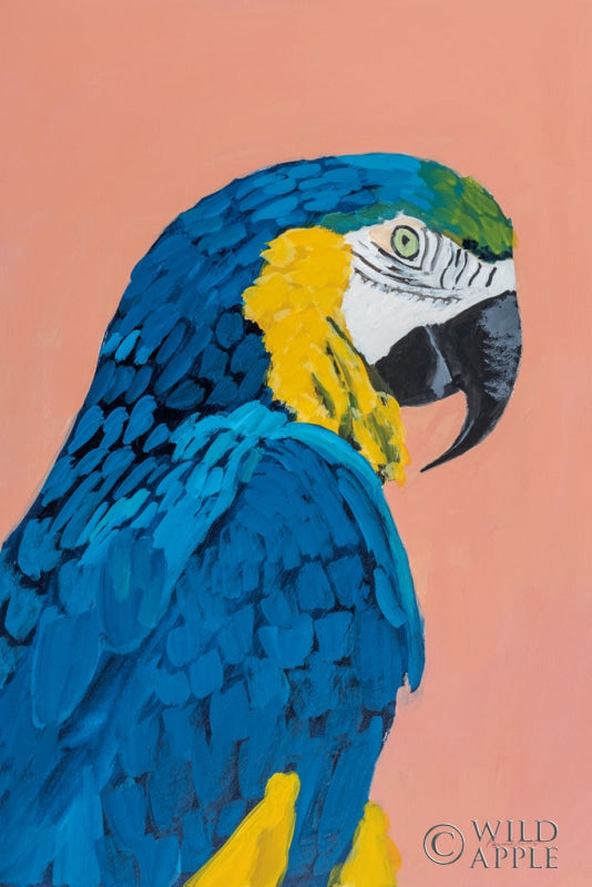 Reproduction of Blue and Gold Macaw Crop by Pamela Munger - Wall Decor Art