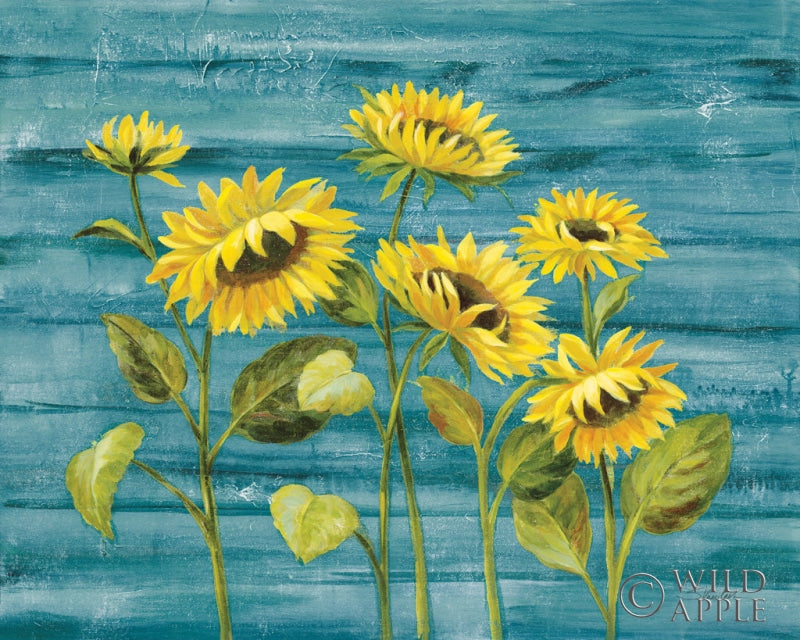 Reproduction of Cottage Sunflowers Teal by Silvia Vassileva - Wall Decor Art
