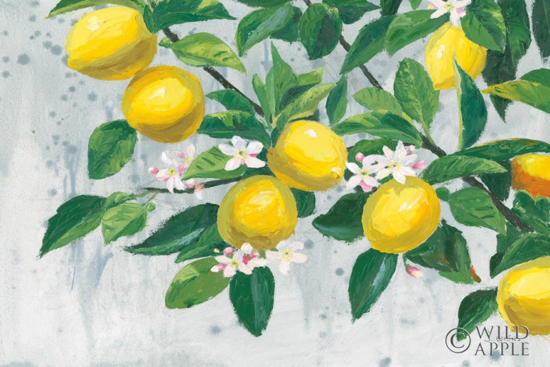 Reproduction of Zesty Lemons by James Wiens - Wall Decor Art