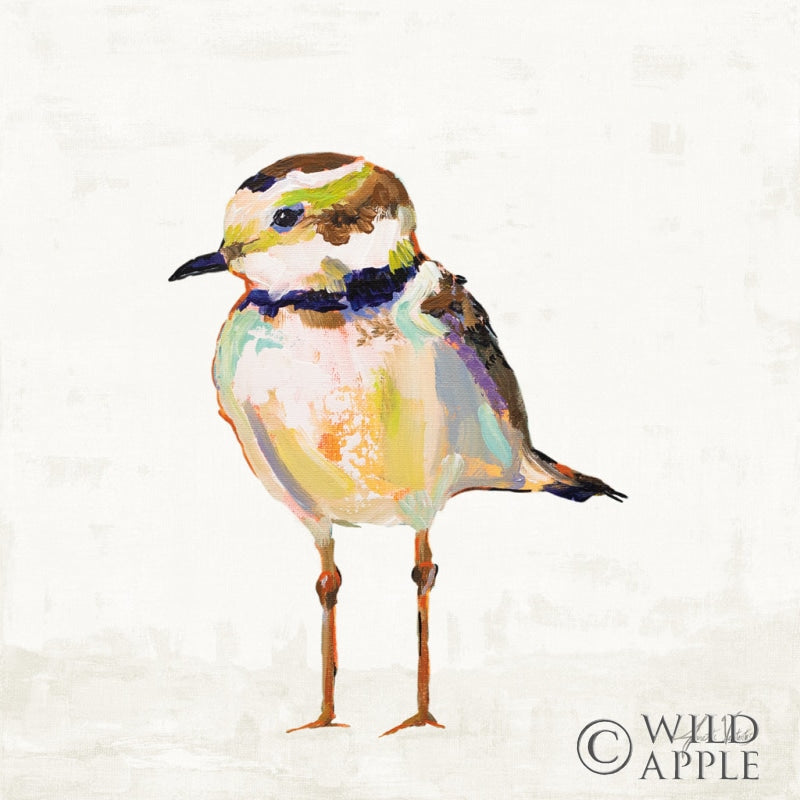 Reproduction of Coastal Plover II Linen by Jeanette Vertentes - Wall Decor Art