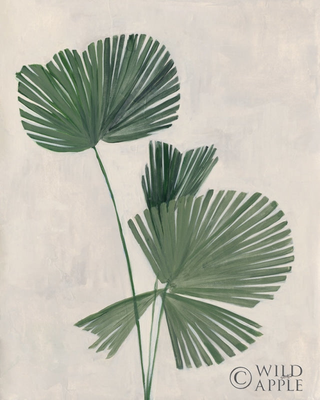Reproduction of Palm Botanical III by Julia Purinton - Wall Decor Art