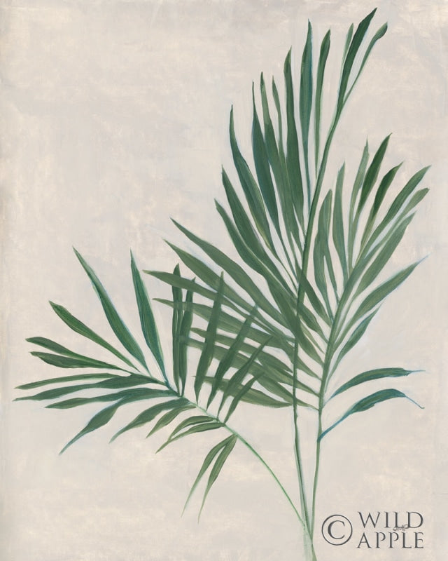 Reproduction of Palm Botanical IV by Julia Purinton - Wall Decor Art