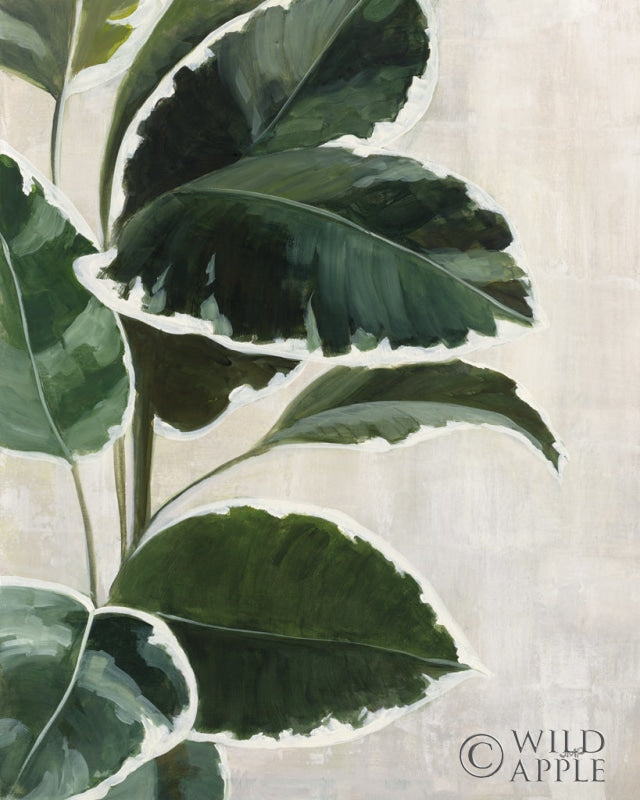 Reproduction of Tropical Study I by Julia Purinton - Wall Decor Art