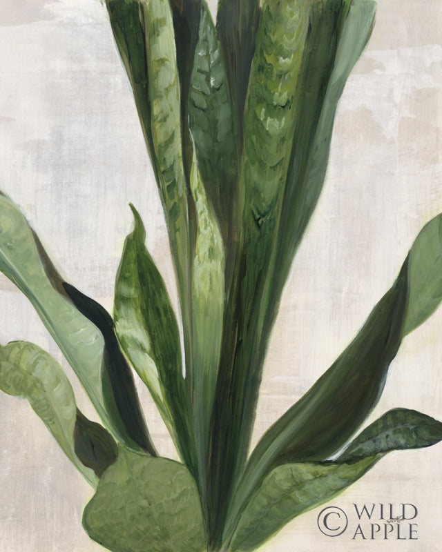 Reproduction of Tropical Study III by Julia Purinton - Wall Decor Art