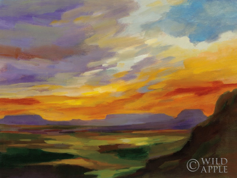 Reproduction of Sonoran Desert Sunset Crop by Silvia Vassileva - Wall Decor Art