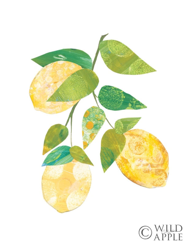 Reproduction of Summer Lemons I by Courtney Prahl - Wall Decor Art