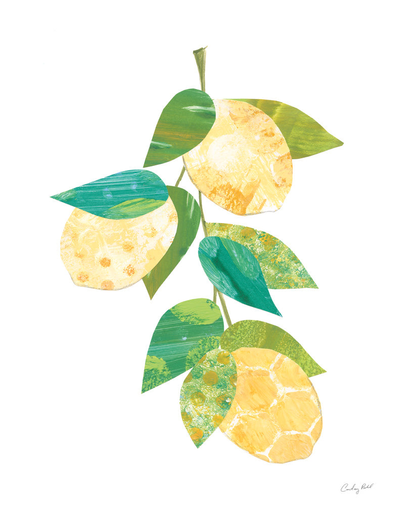 Reproduction of Summer Lemons II by Courtney Prahl - Wall Decor Art