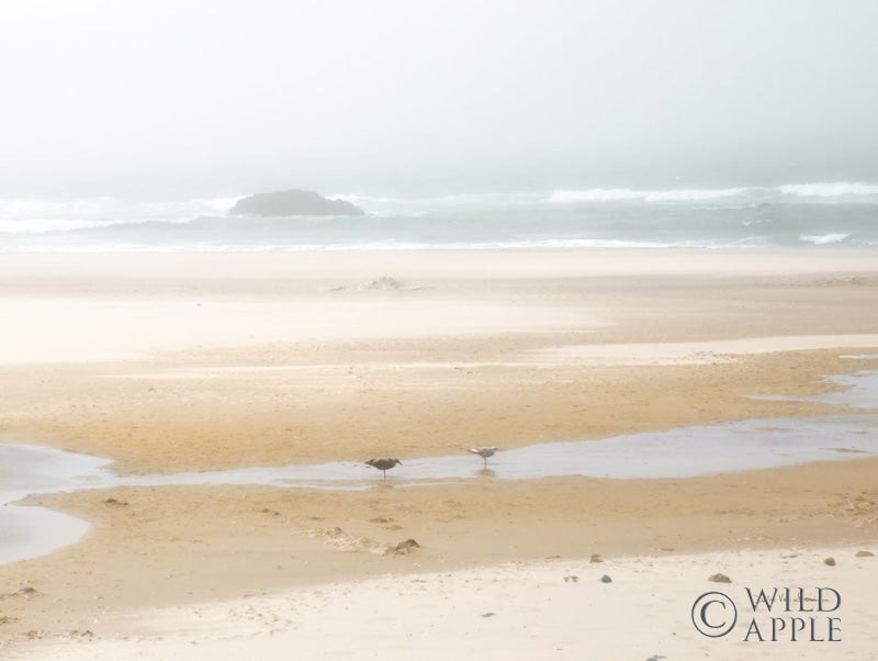 Reproduction of Cold Beach I by Debra Van Swearingen - Wall Decor Art