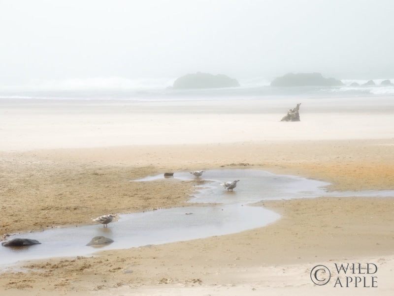 Reproduction of Cold Beach II by Debra Van Swearingen - Wall Decor Art