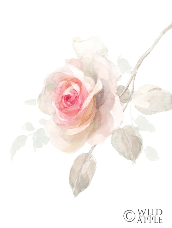 Reproduction of Gentle Rose II by Danhui Nai - Wall Decor Art