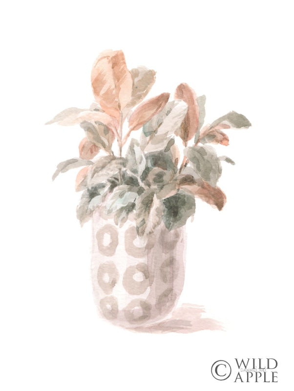 Reproduction of Modern Flora II by Danhui Nai - Wall Decor Art