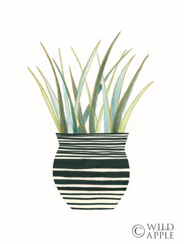 Reproduction of Herb Garden II by Courtney Prahl - Wall Decor Art