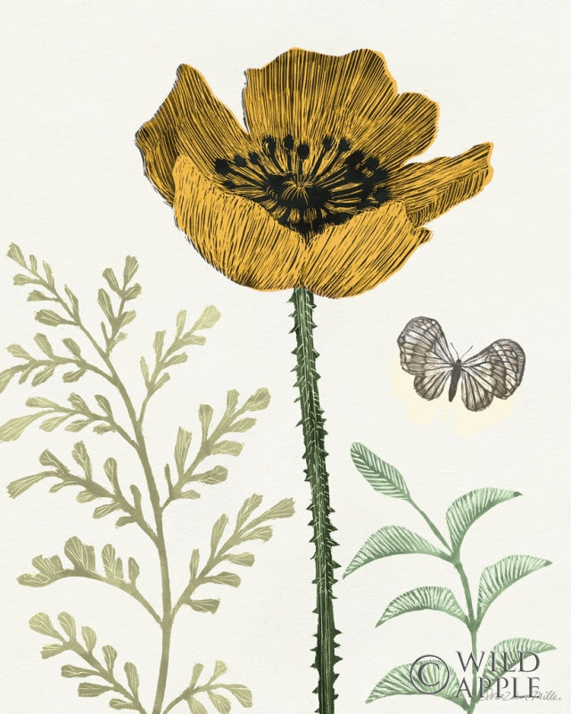 Reproduction of Springtime II Warm by Sara Zieve Miller - Wall Decor Art