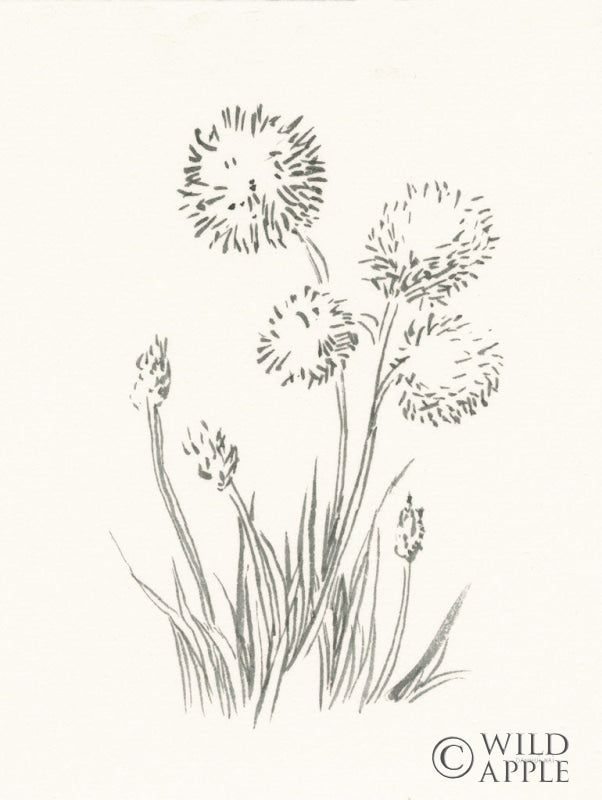 Reproduction of Farm Nostalgia Flowers II Dark Gray by Danhui Nai - Wall Decor Art