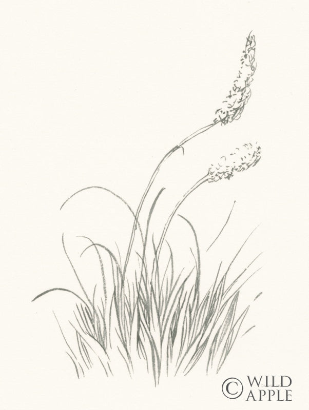 Reproduction of Farm Nostalgia Flowers IV Dark Gray by Danhui Nai - Wall Decor Art