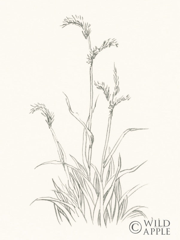 Reproduction of Farm Nostalgia Flowers V Dark Gray by Danhui Nai - Wall Decor Art