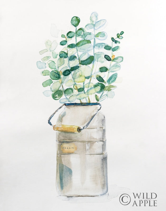 Reproduction of Market Eucalyptus by Sue Schlabach - Wall Decor Art