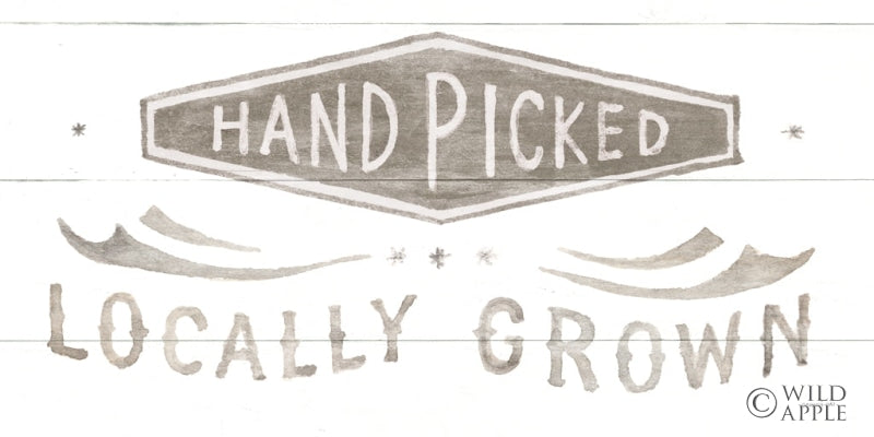 Reproduction of Homegrown Summer Sign II by Danhui Nai - Wall Decor Art