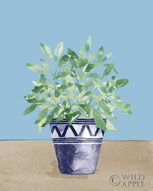 Reproduction of Herb Garden V White Navy by Beth Grove - Wall Decor Art