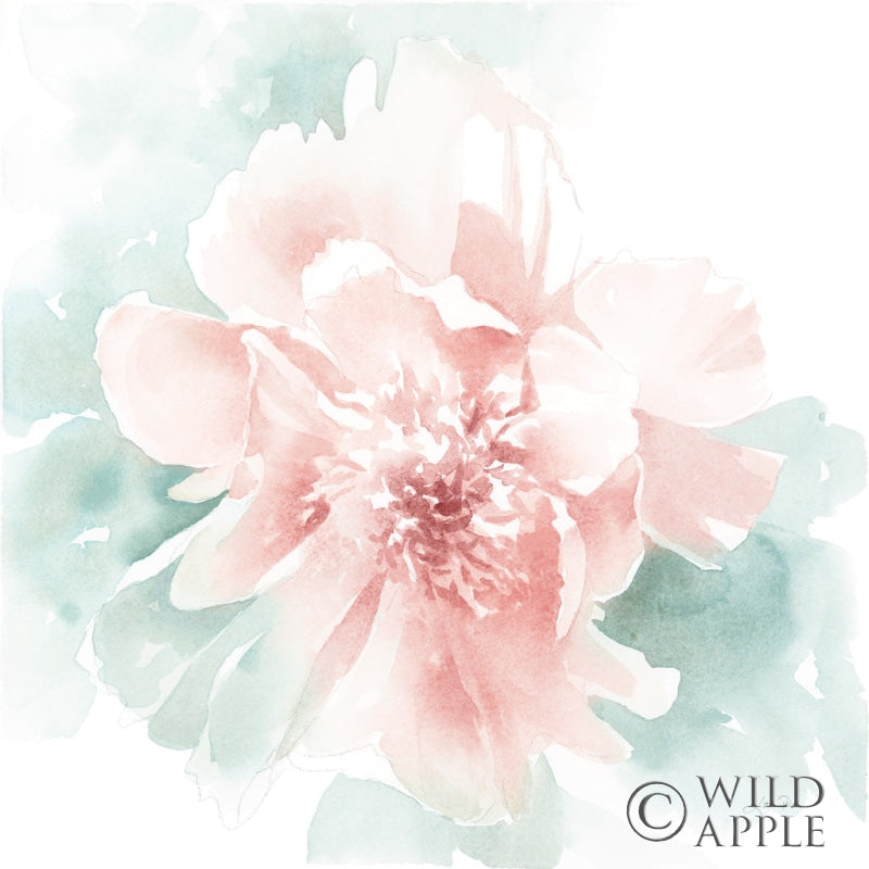 Reproduction of Poetic Blooming II Pink by Katrina Pete - Wall Decor Art