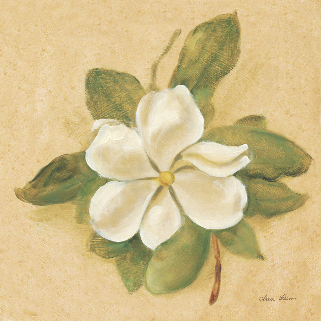 Magnolia Crop