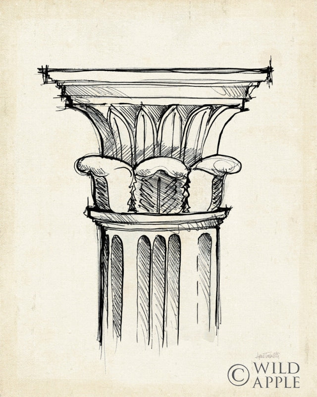 Reproduction of Museum Sketches VIII Off White by Anne Tavoletti - Wall Decor Art