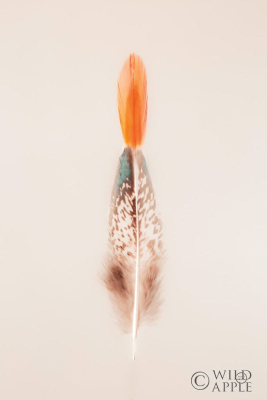 Reproduction of Floating Feathers I by Nathan Larson - Wall Decor Art